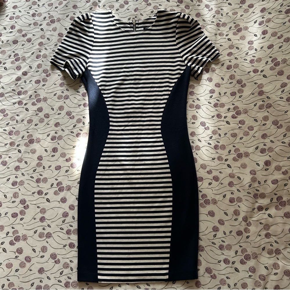 Torn by Ronny Kobo, Striped Bodycon Dress, NWOT